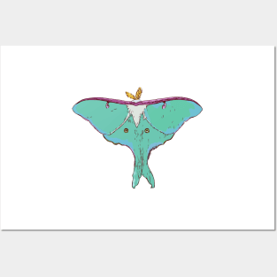 Luna Moth Painting Posters and Art